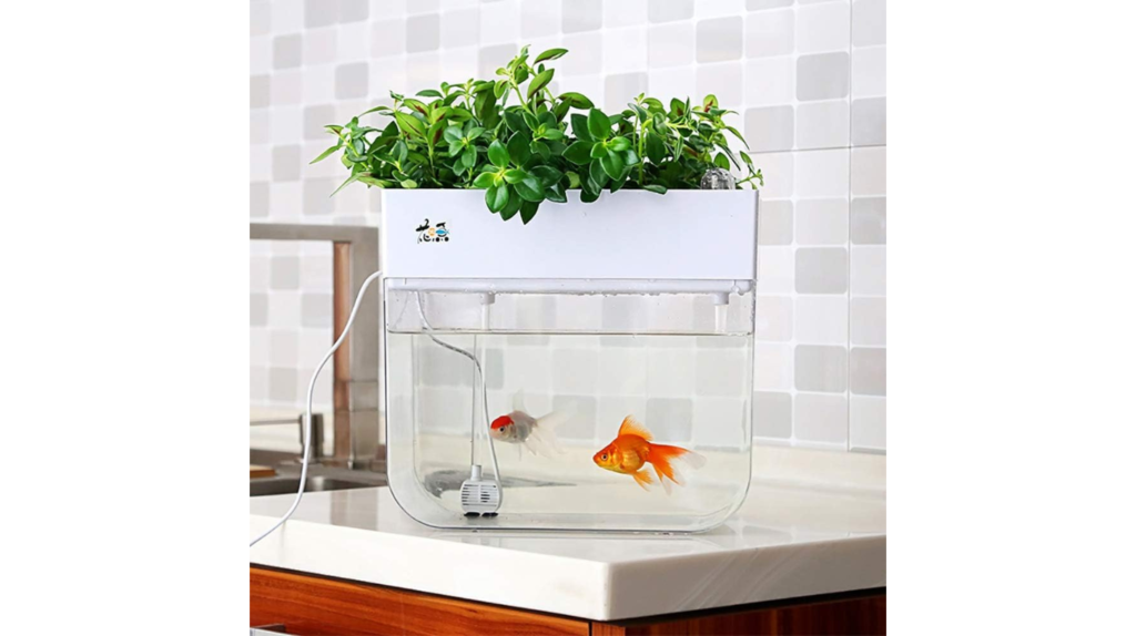 Hydroponic Garden Aquaponic Fish Tank Review