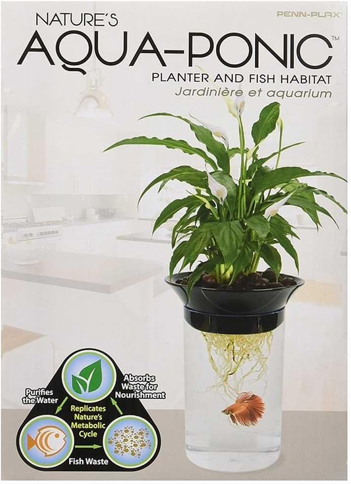 Penn-Plax Aquaponic Planter and Aquarium for Betta Fish Tank Promotes Healthy Hydroponic Environment for Plants and Fish
